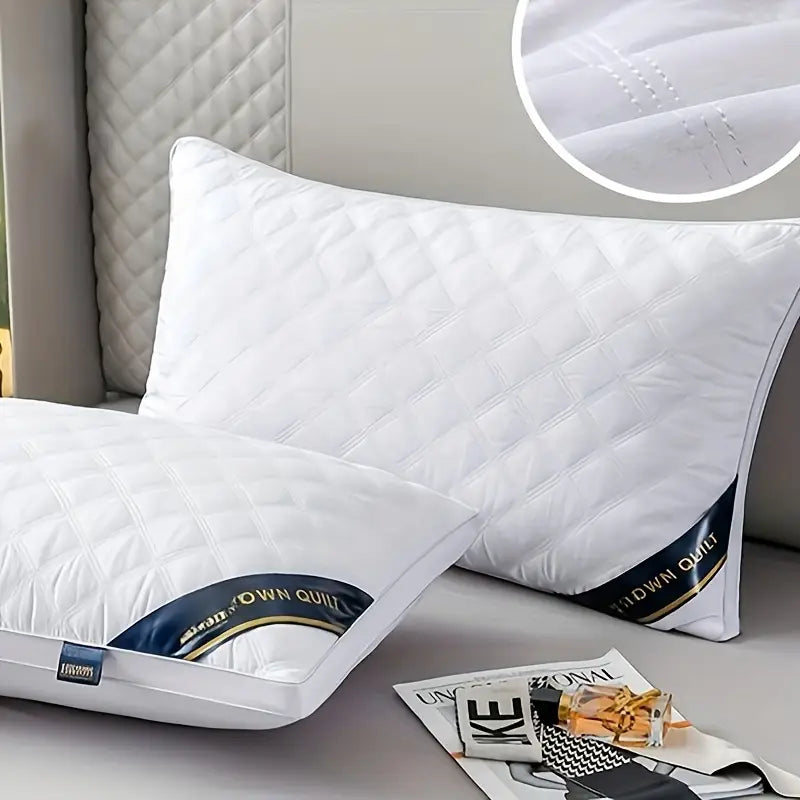 2pcs Hypoallergenic 3D Pillows